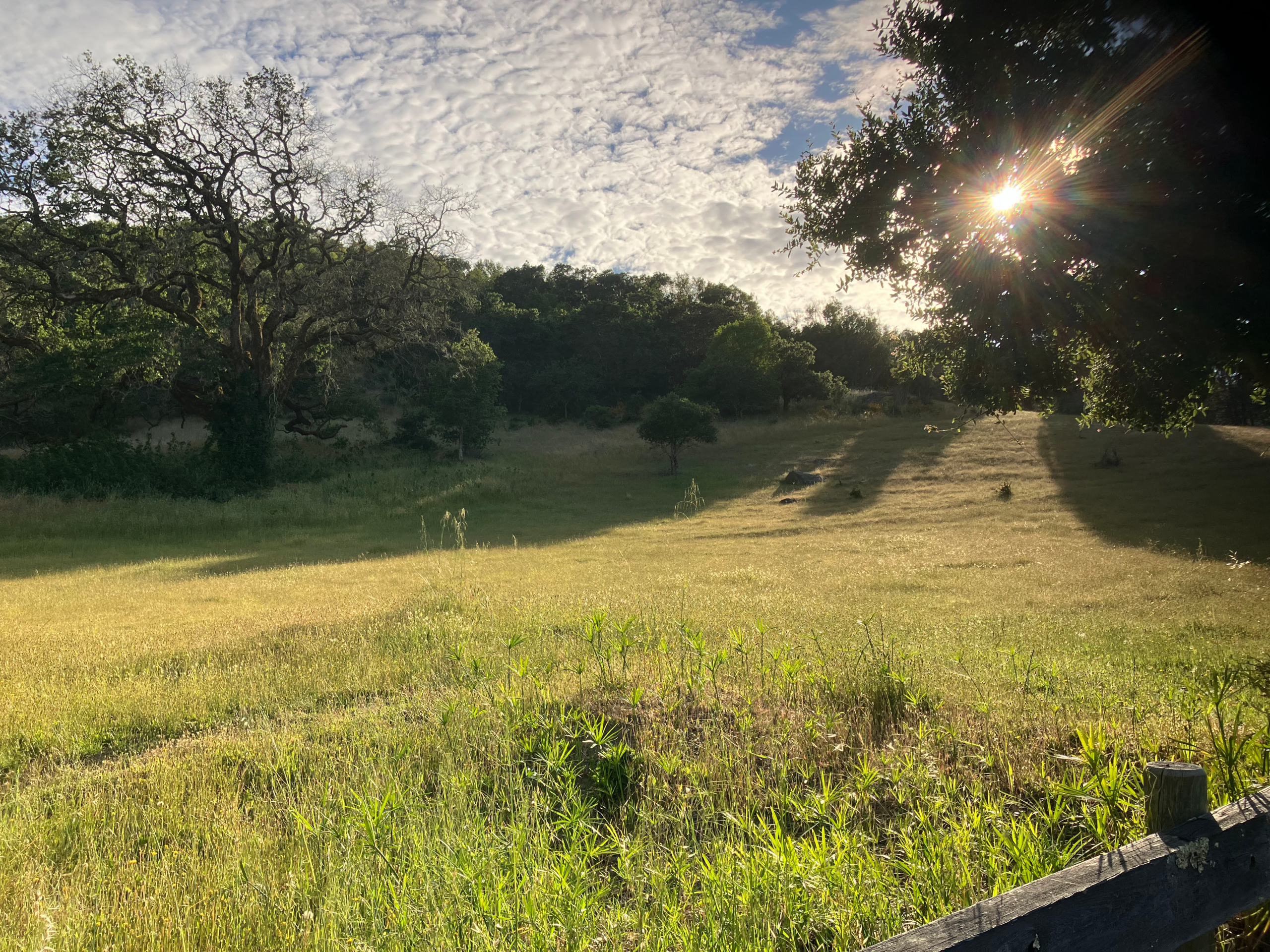 There’s So Much Rawness